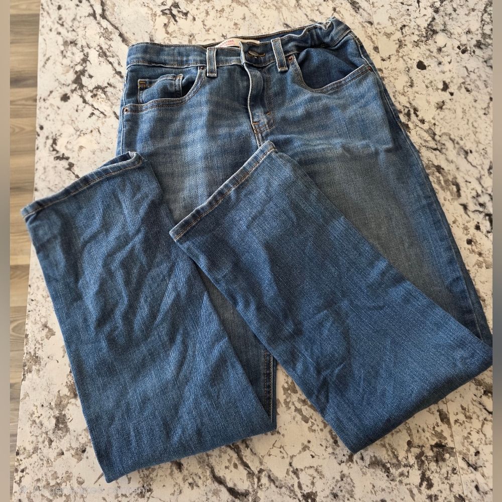Signature by Levi Strauss Boy's Straight Blue Jeans